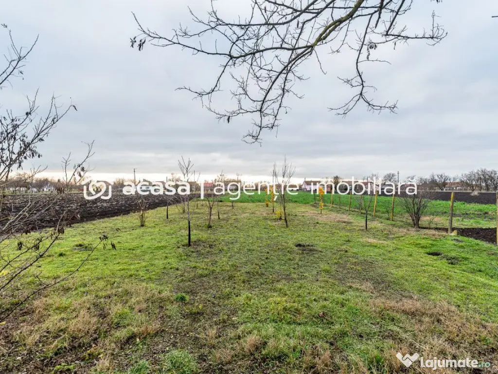 Casă + livadă tânără + curte 2.500 mp în Dorobanți 