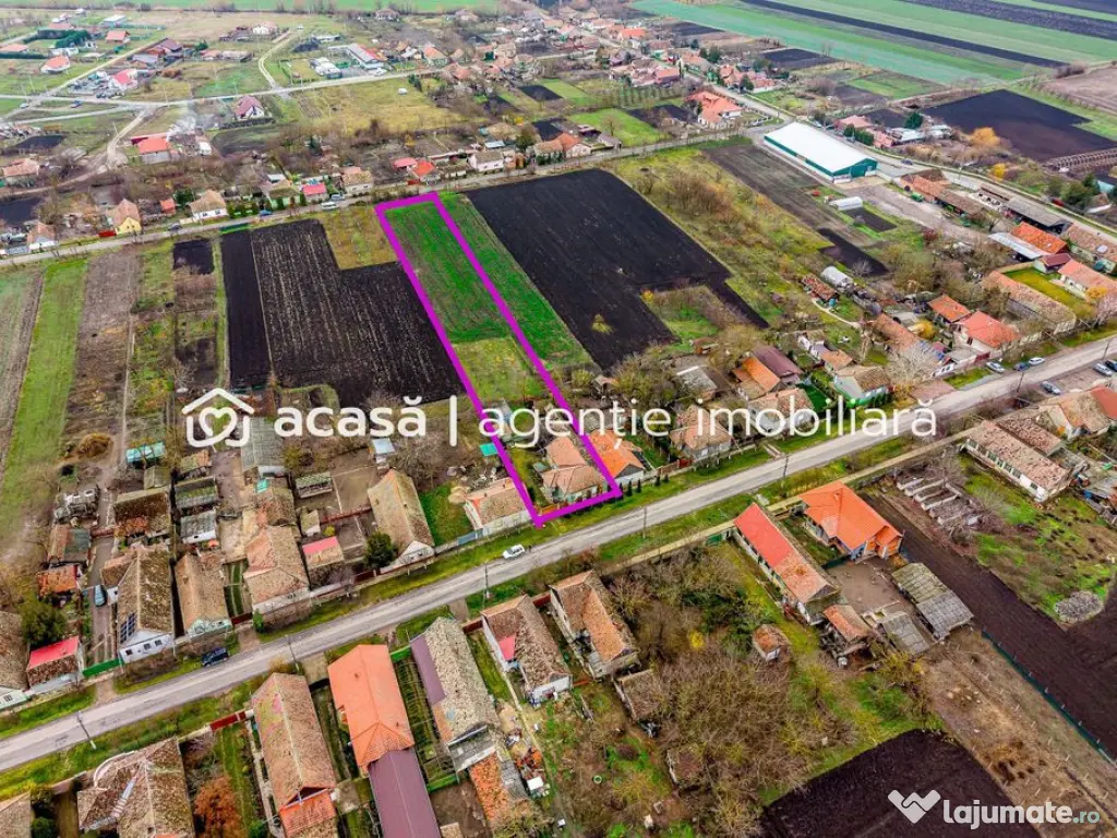 Casă + livadă tânără + curte 2.500 mp în Dorobanți 