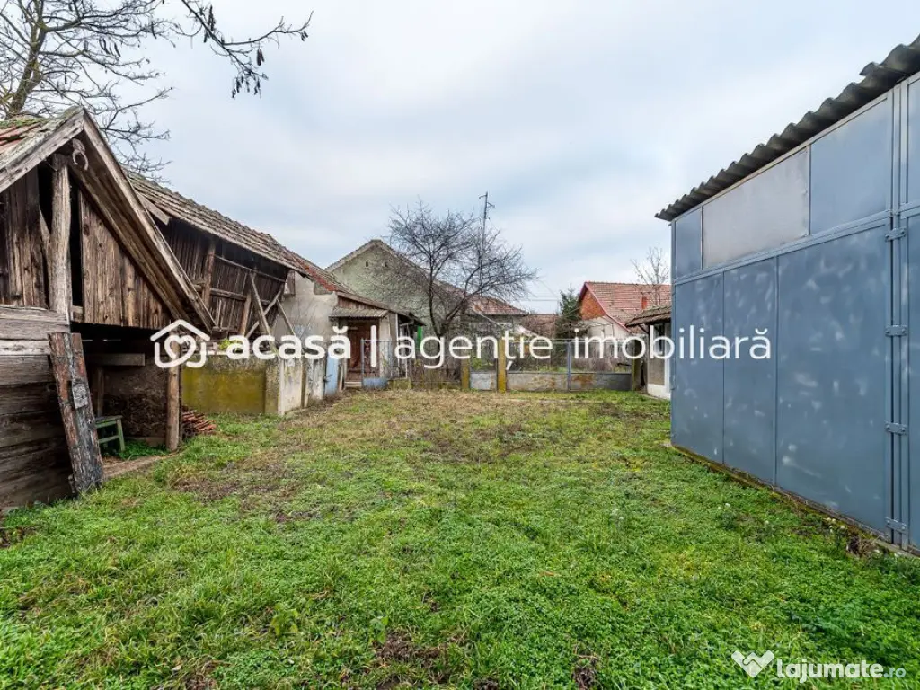 Casă + livadă tânără + curte 2.500 mp în Dorobanți 