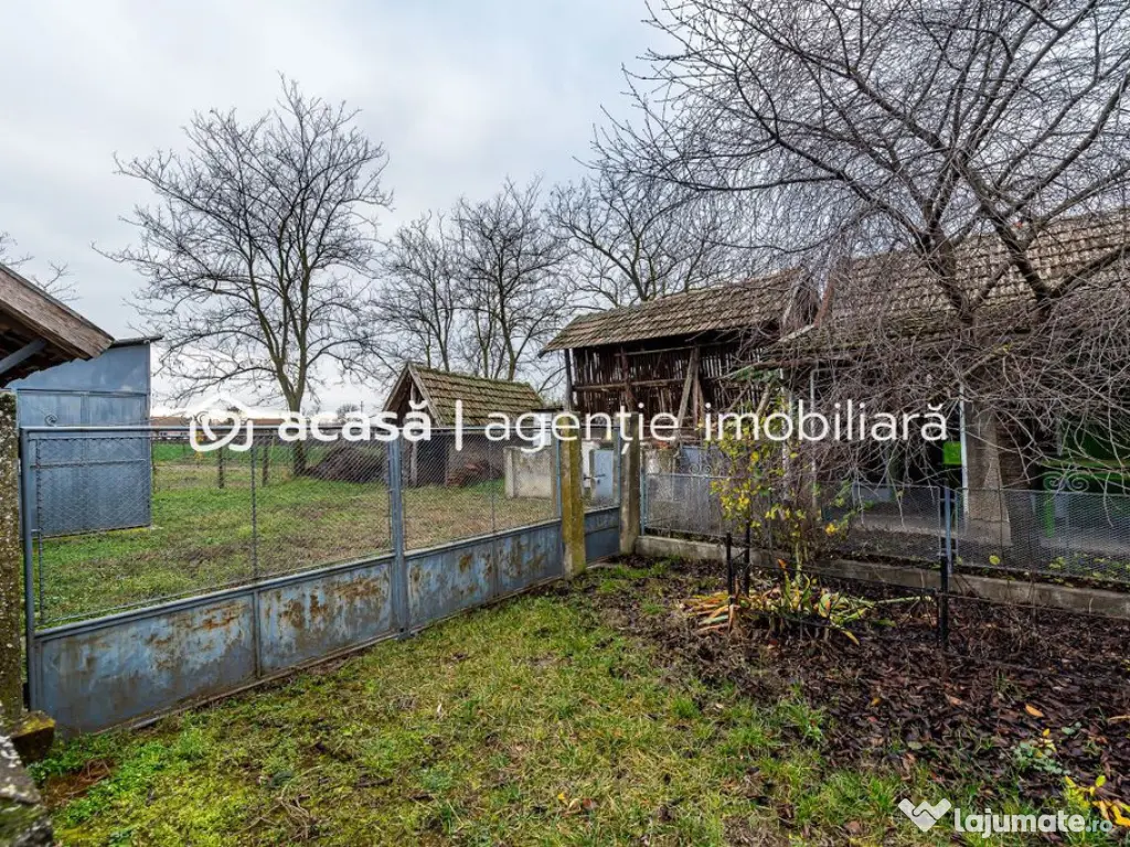 Casă + livadă tânără + curte 2.500 mp în Dorobanți 