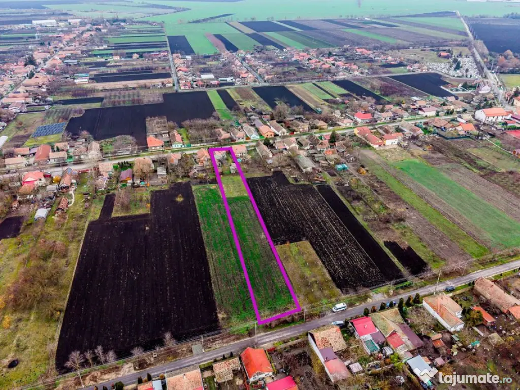 Casă cu livadă + curte 2500 mp în Dorobanți 