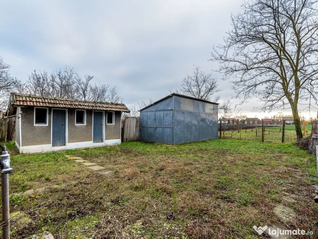 Casă cu livadă + curte 2500 mp în Dorobanți 