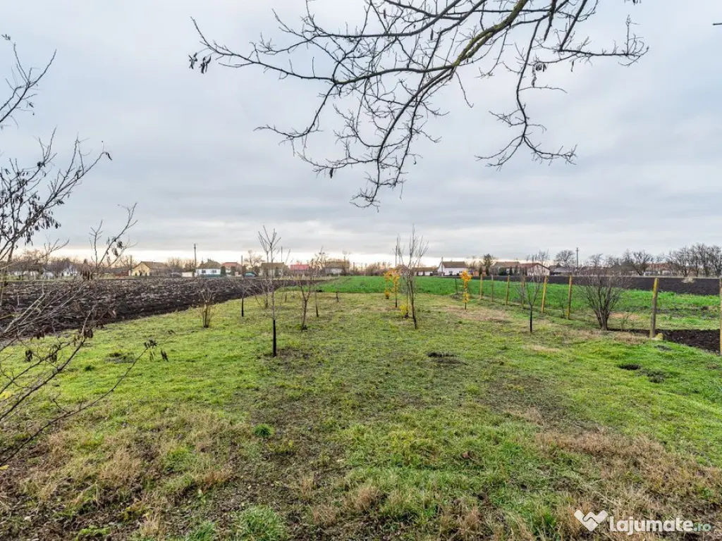 Casă cu livadă + curte 2500 mp în Dorobanți 