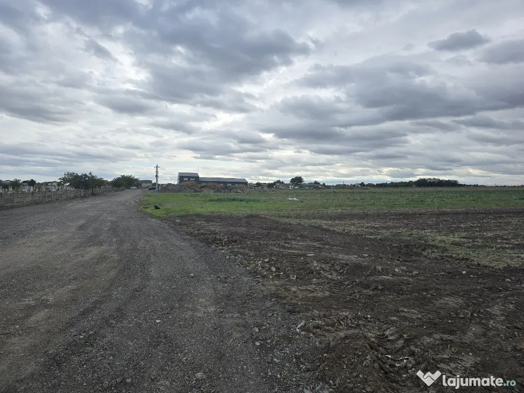 Teren de vanzare in Ovidiu