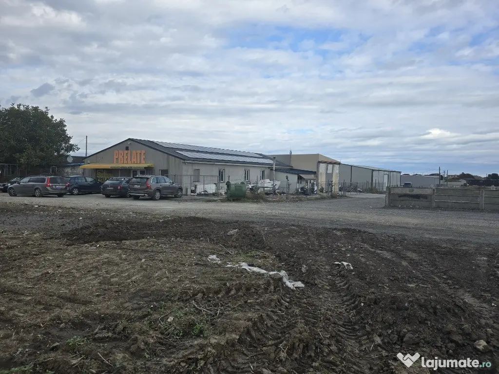 Teren de vanzare in Ovidiu