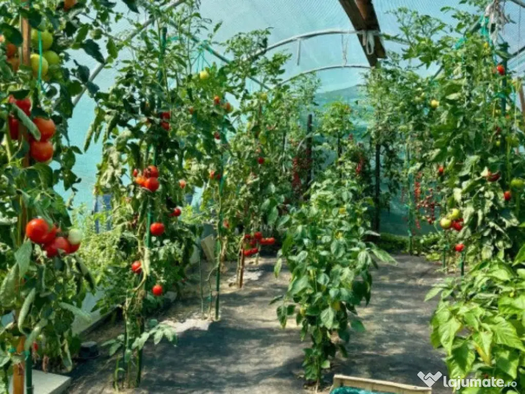 Satu Nou de Jos, casa noua, finisata 