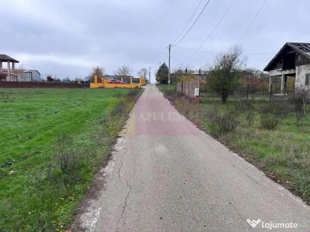 Teren Comana- strada Funieru. 