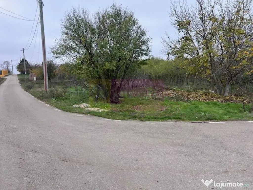 Teren Comana- strada Funieru. 