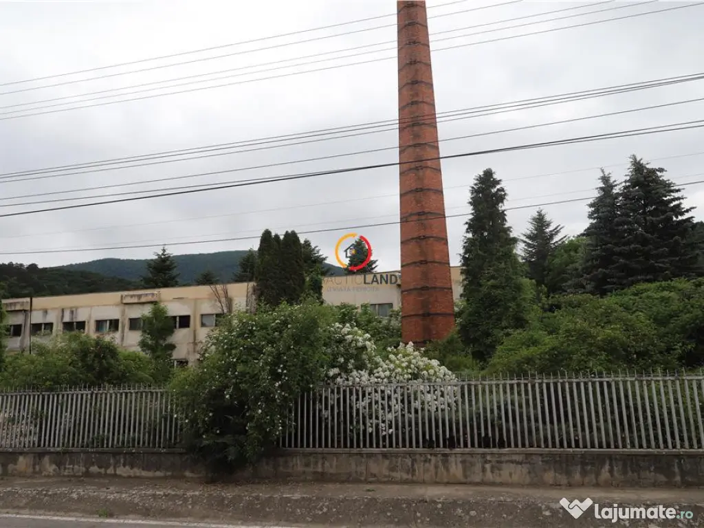 Oportunitate de investitie