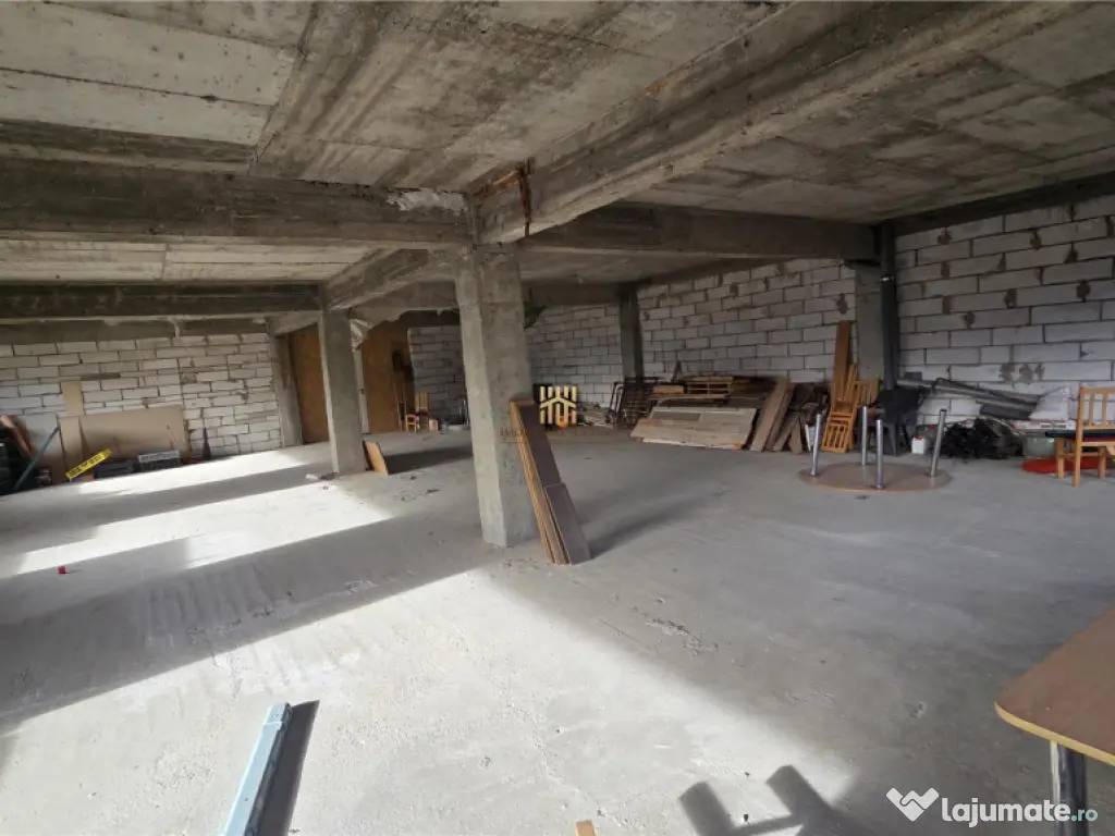 Spatiu Comercial cu terase si Hale de in Frasin Suceava 072 