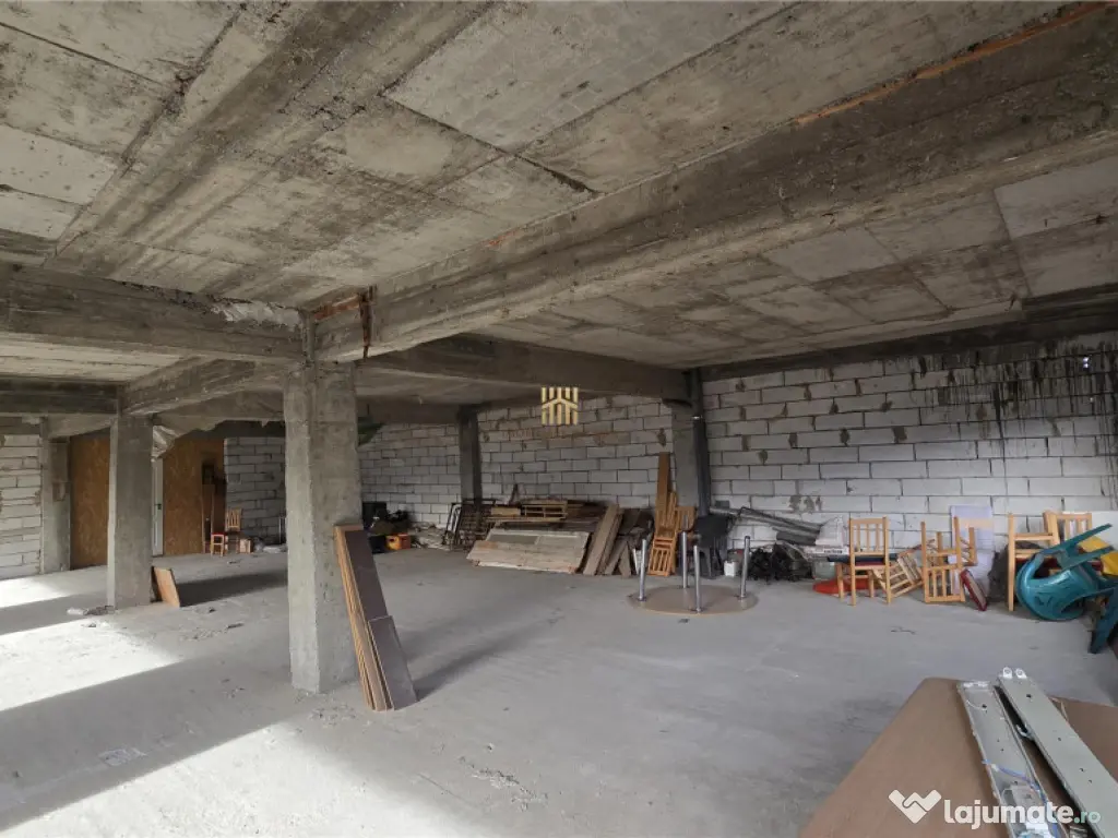 Spatiu Comercial cu terase si Hale de in Frasin Suceava 072 