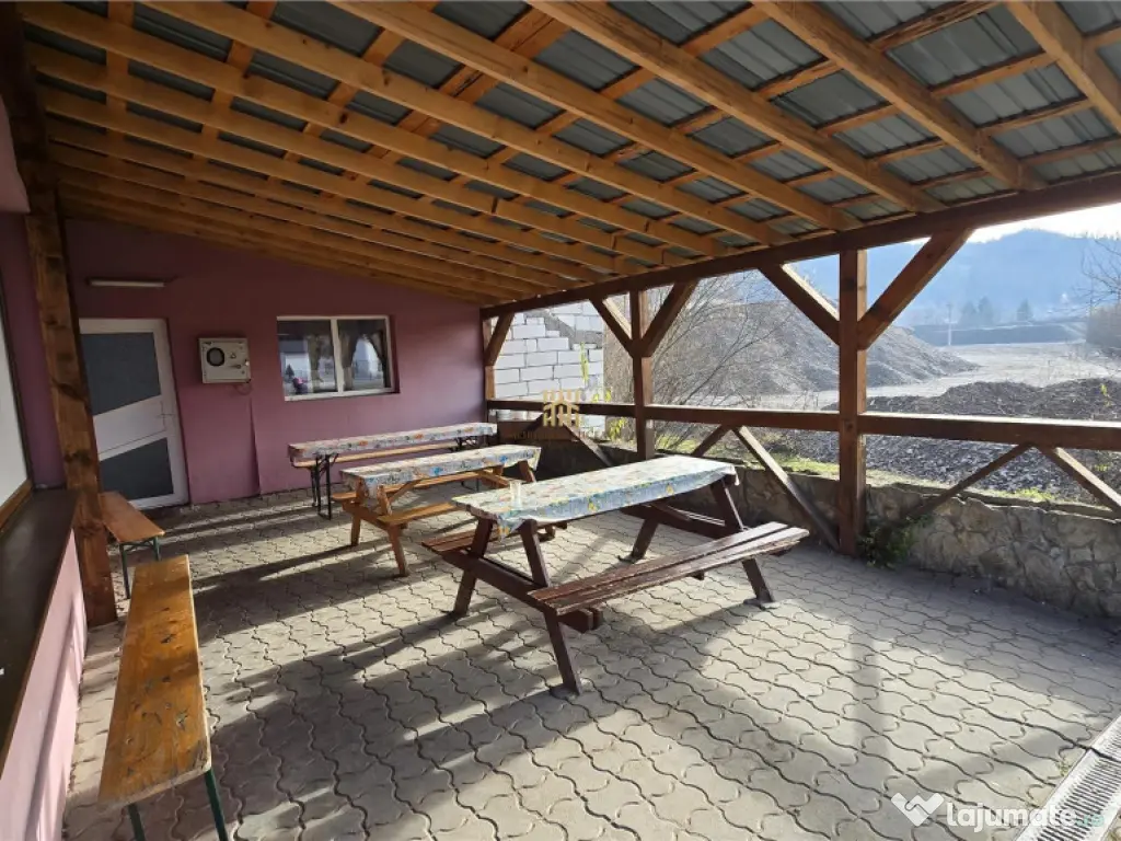 Spatiu Comercial cu terase si Hale de in Frasin Suceava 072 