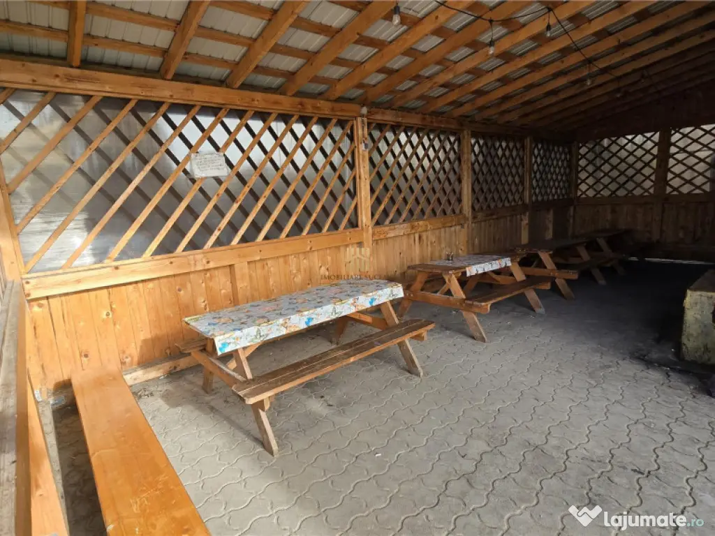 Spatiu Comercial cu terase si Hale de in Frasin Suceava 072 