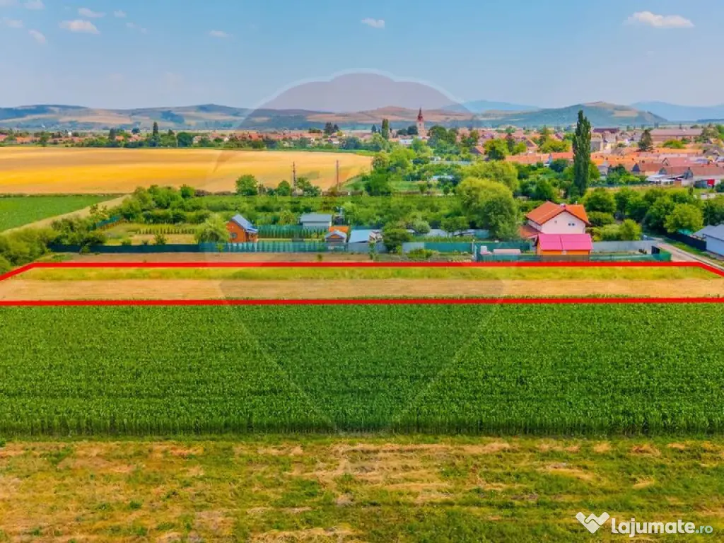 COMISION 0% | Teren intravilan | Bod, strada Avram Iancu