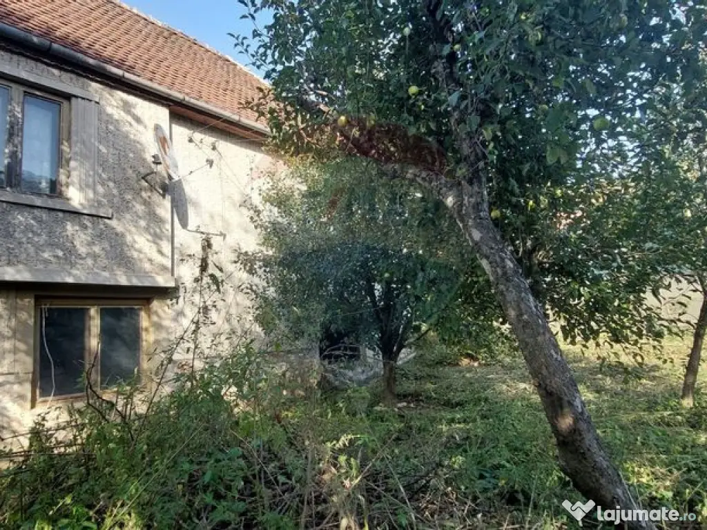 Casă individuala cu teren generos 