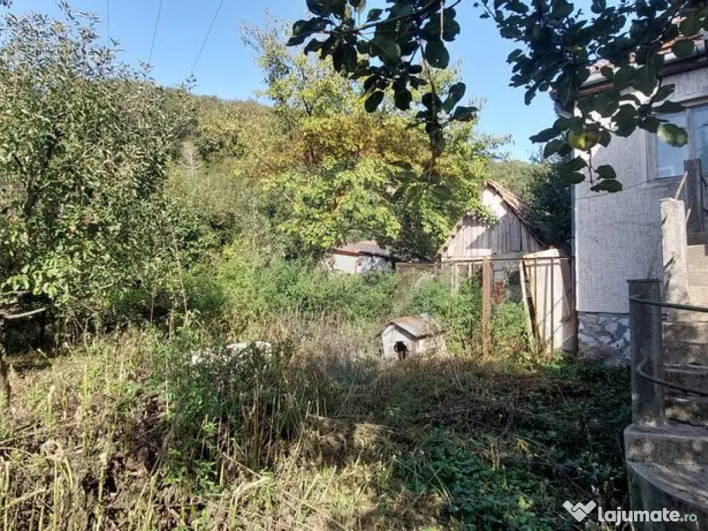 Casă individuala cu teren generos 