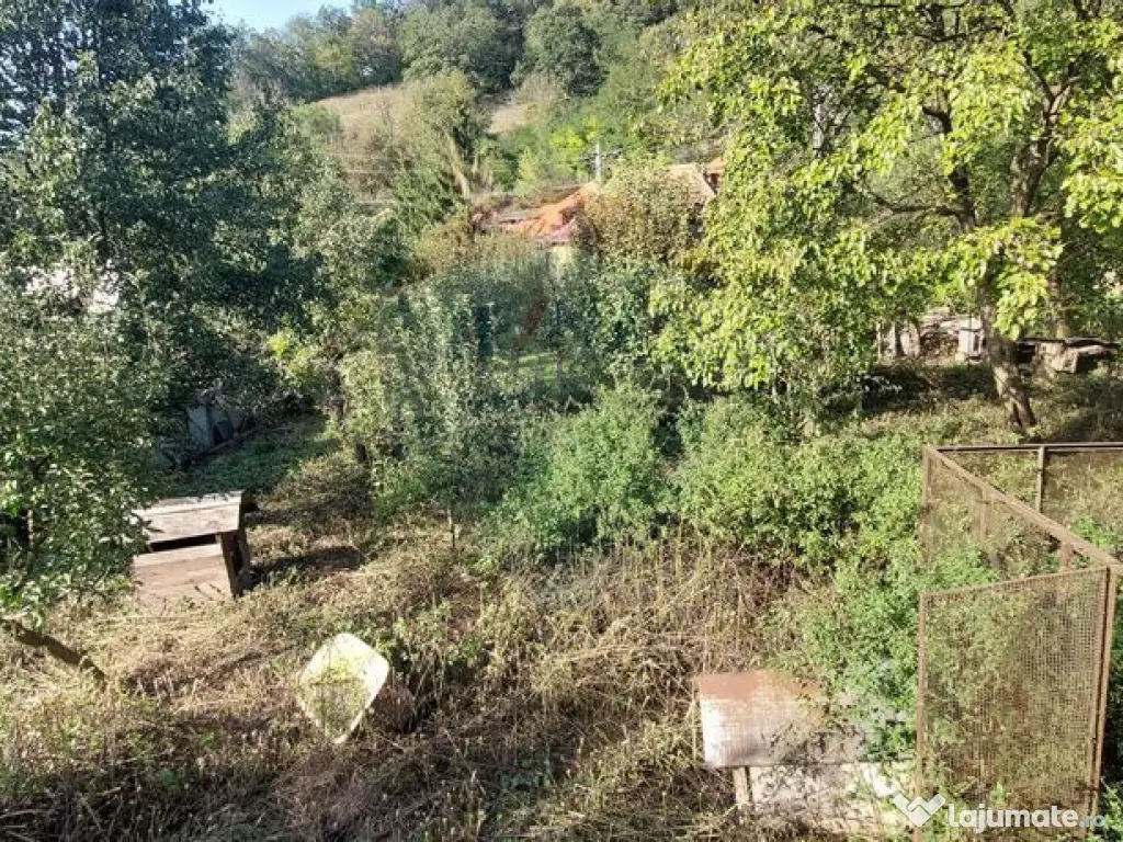 Casă individuala cu teren generos 