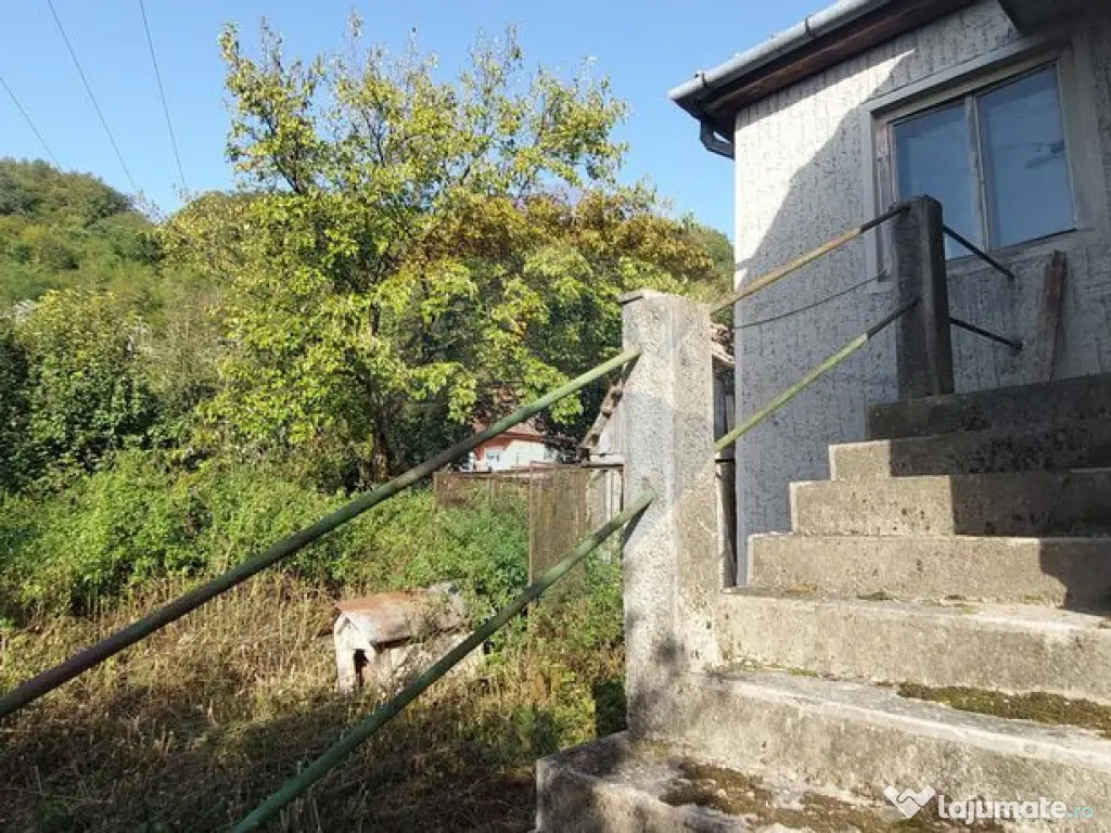 Casă individuala cu teren generos 