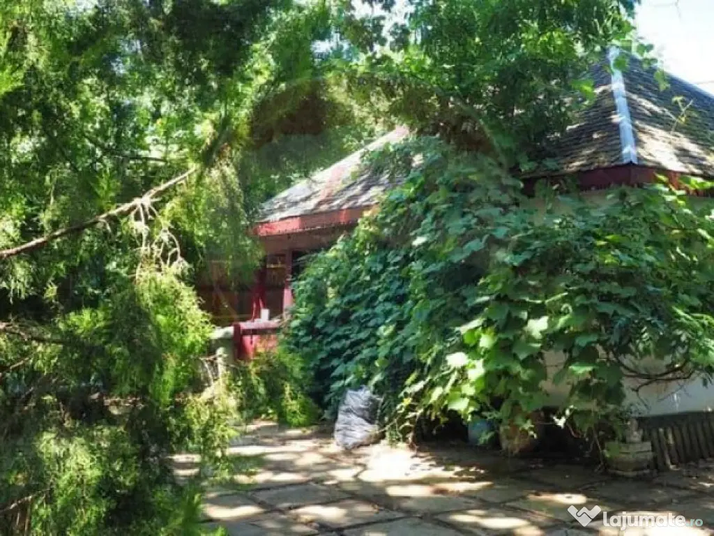 Vila la Lacul Snagov deschidere 21 ml, ponton propriu 