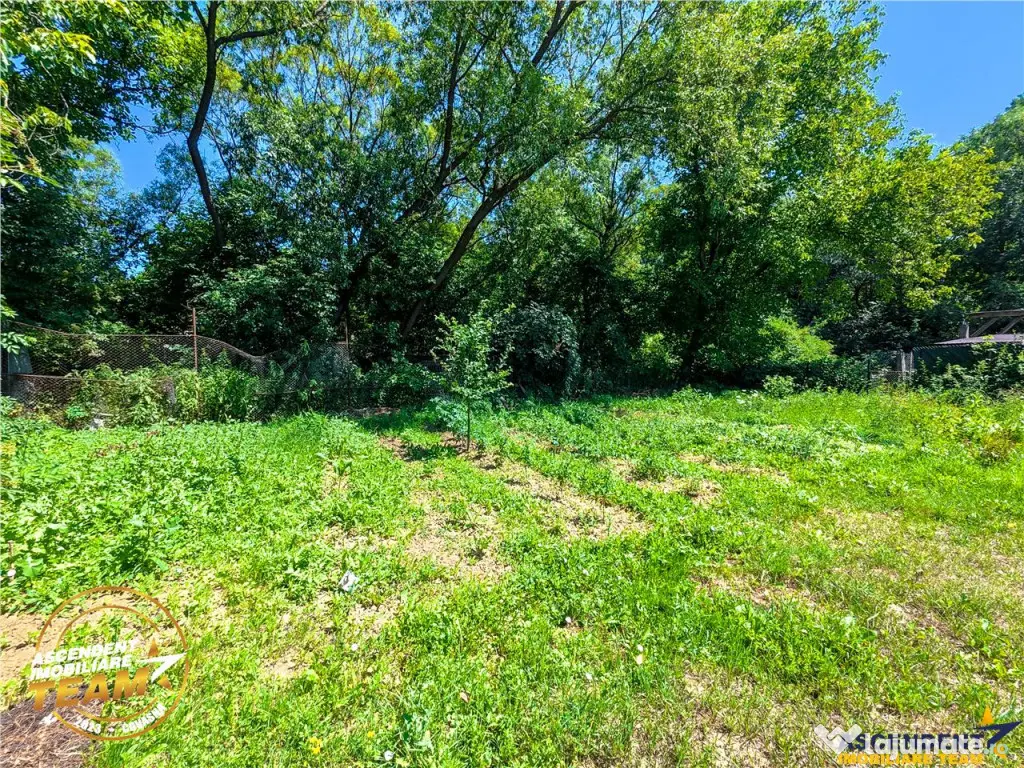 Vrei sa simti zilnic mirosul de cafea si sa auzi ciripitul p 