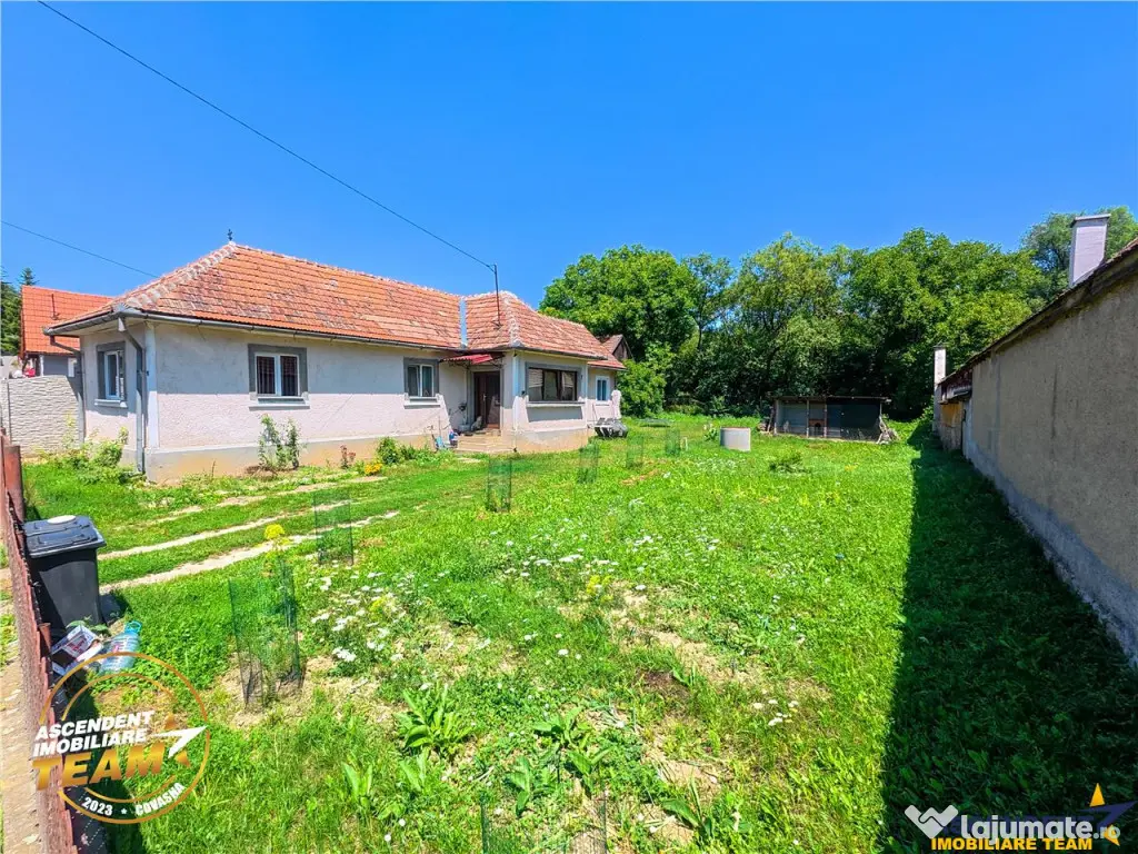 Vrei sa simti zilnic mirosul de cafea si sa auzi ciripitul p 