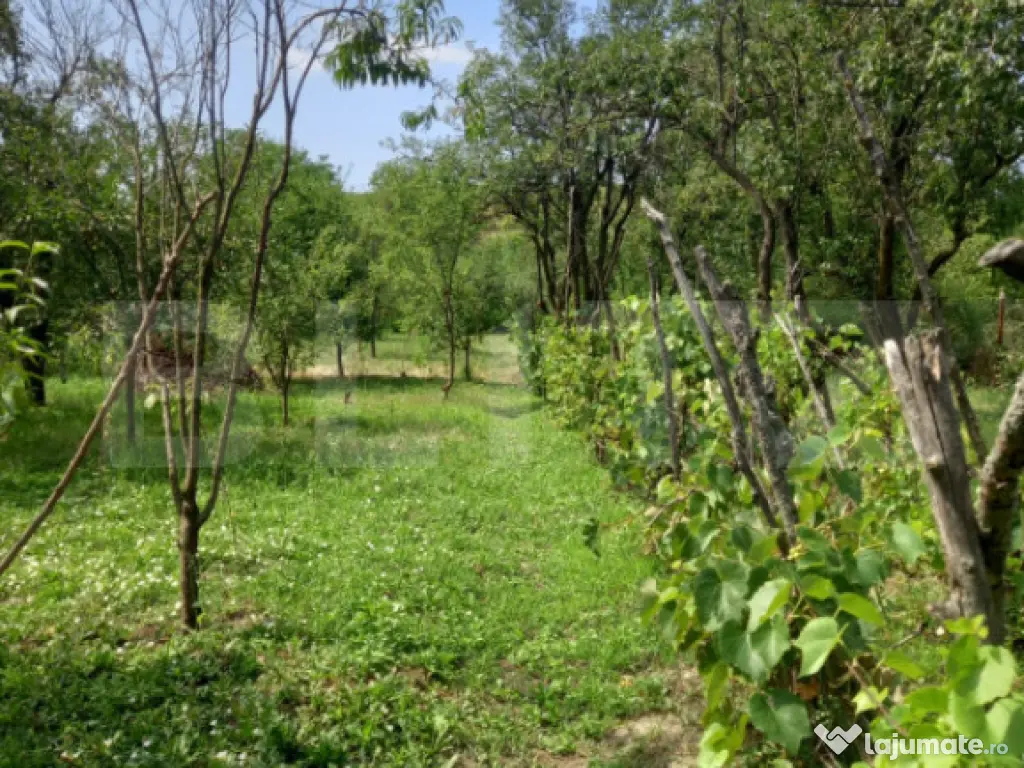 Gospodărie Completă, 130 mp, 1.300 mp Teren, Doicești