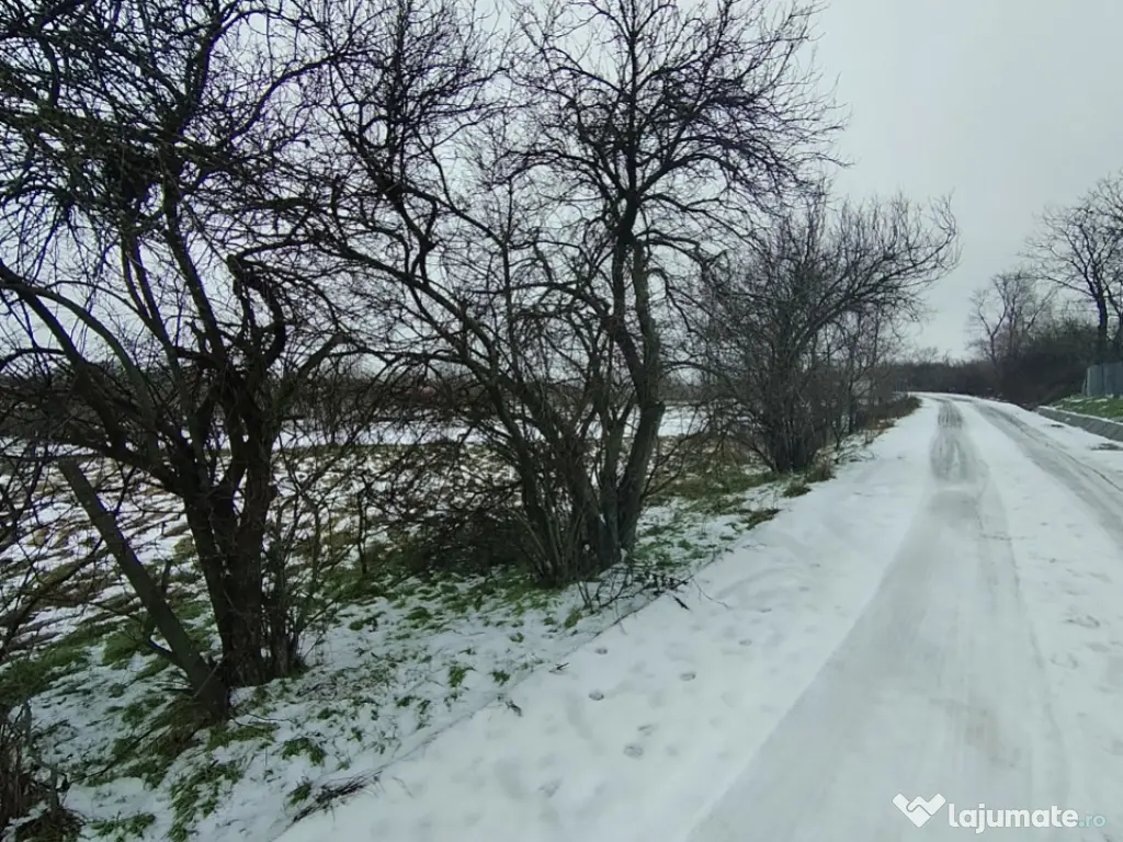 Teren 640 mp, Mischii, front 45,78 m