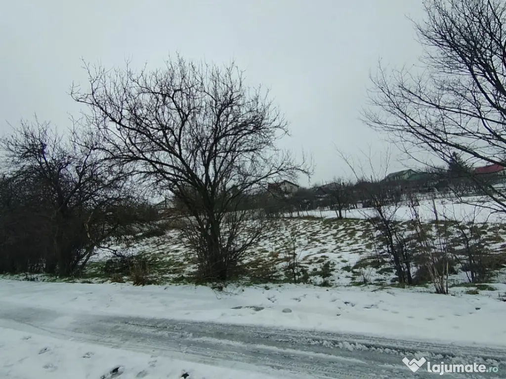 Teren 640 mp, Mischii, front 45,78 m