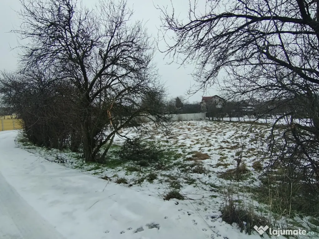 Teren 640 mp, Mischii, front 45,78 m