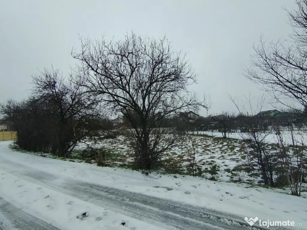 Teren 640 mp, Mischii, front 45,78 m