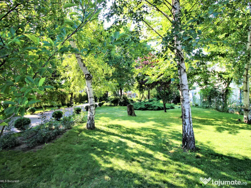 Buftea teren superb 800 mp lotizare posibila + AConstruire P+E