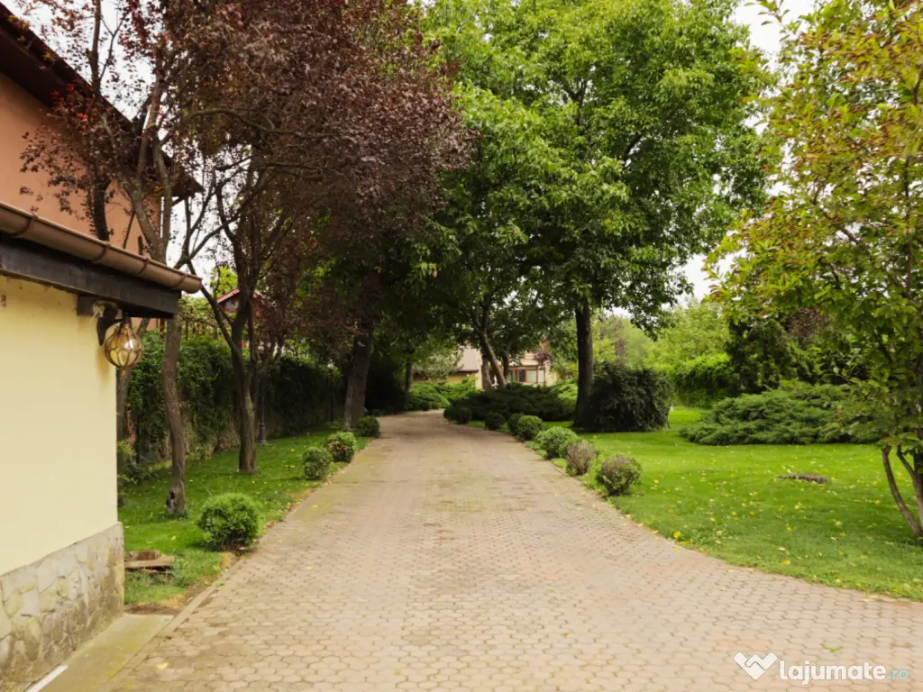 Buftea teren superb 800 mp lotizare posibila + AConstruire P+E 