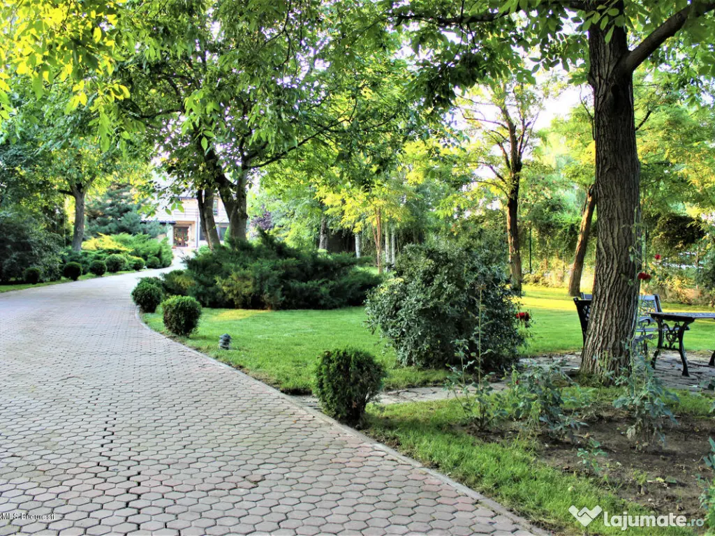 Buftea teren superb 800 mp lotizare posibila + AConstruire P+E 