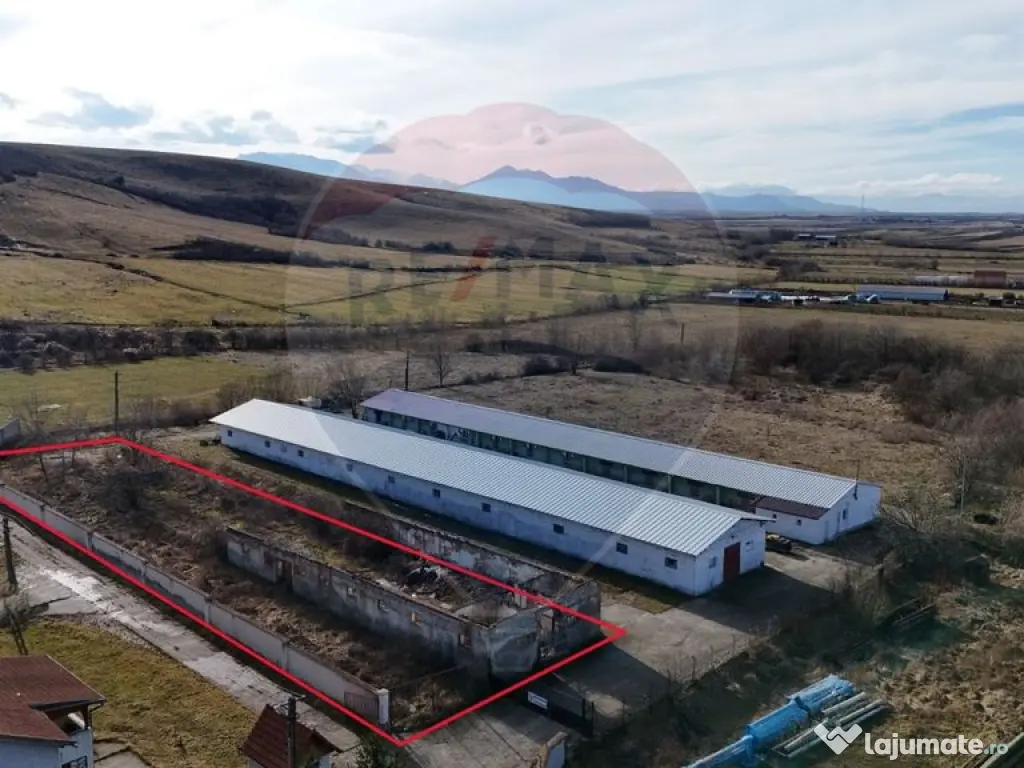 Teren intravilan 1.729 mp + hală parțial demolată | Te... 