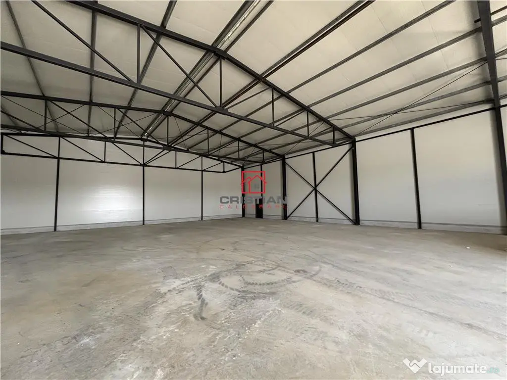 Depozit/hala/spatiu industrial Theodor Pallady - Gara Catel