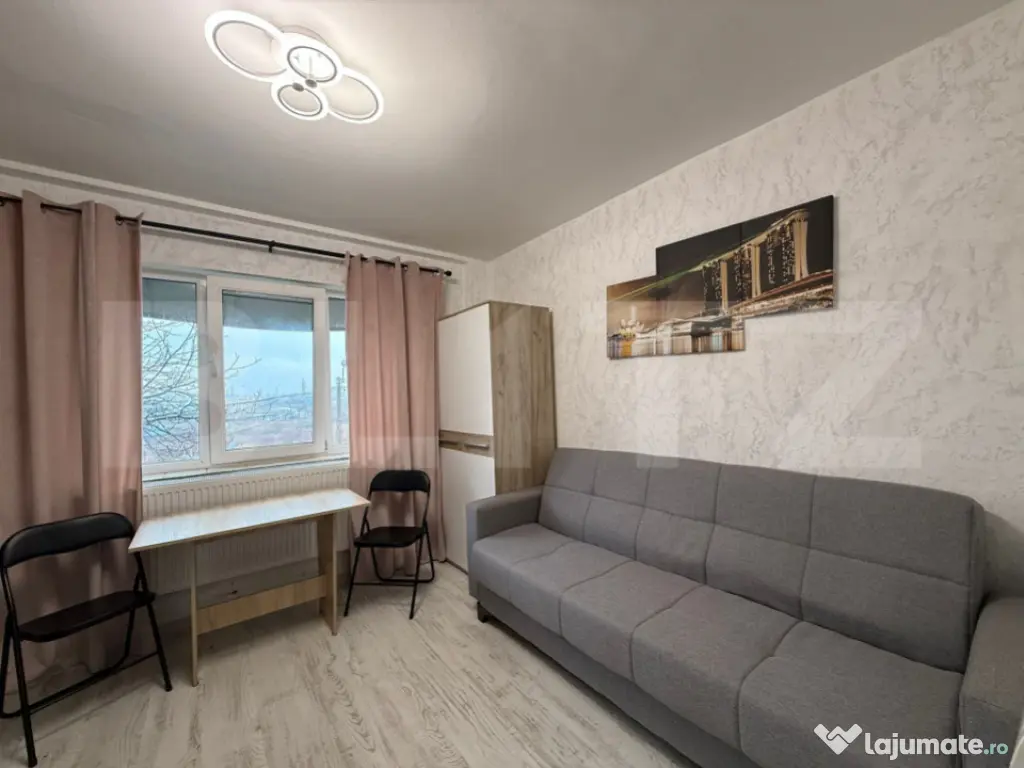 Camera de camin, 17 mp, zona Bularga