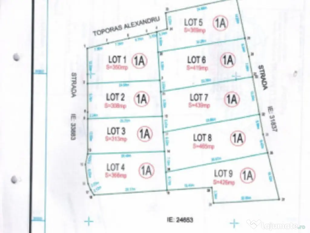 TEREN DE VANZARE IN CALARASI