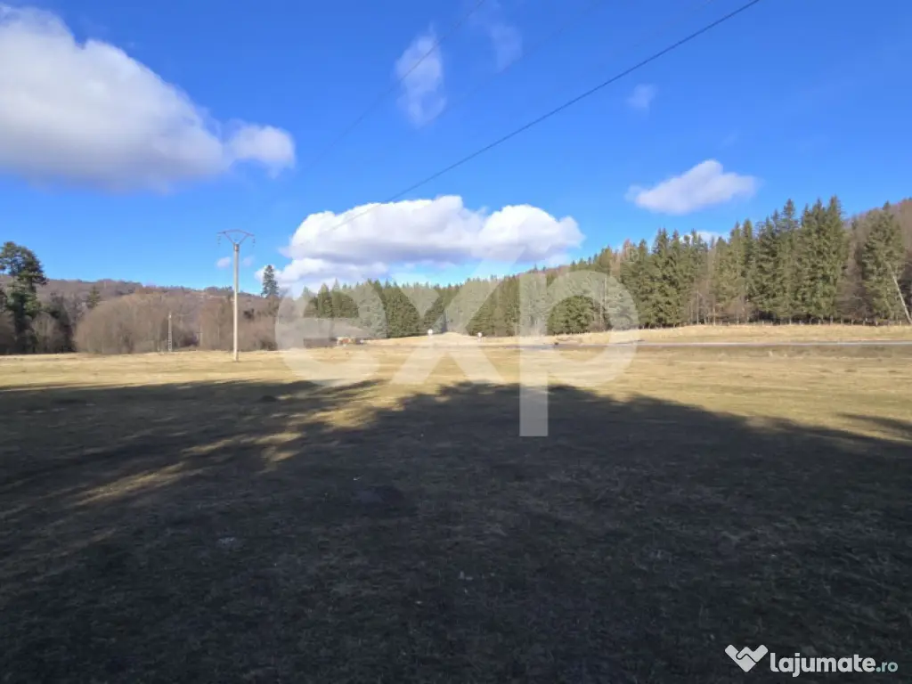Teren extravilan 19.200 mp – DN1A Săcele, Brădet | Front