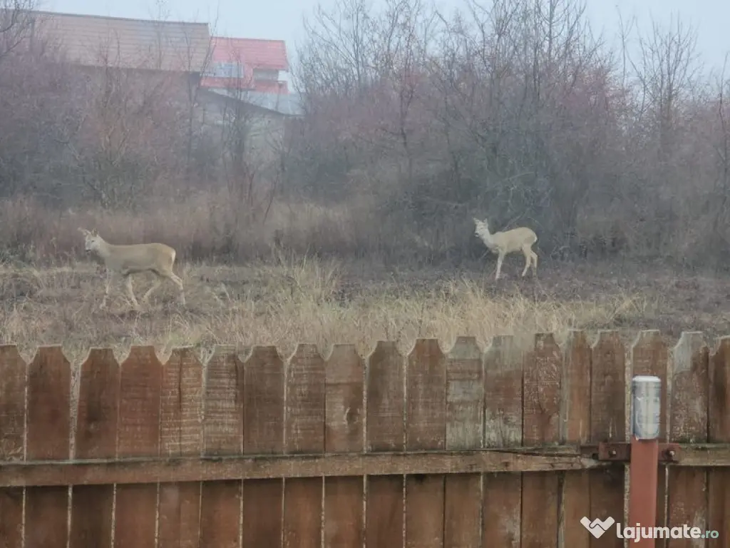 AZURA Imobiliare - Casa la cheie Mosoaia - pret de aparta... 
