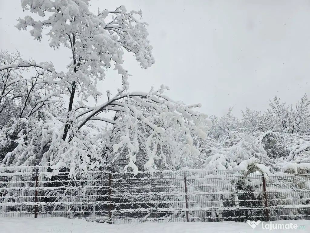 AZURA Imobiliare - Casa la cheie Mosoaia - pret de aparta... 