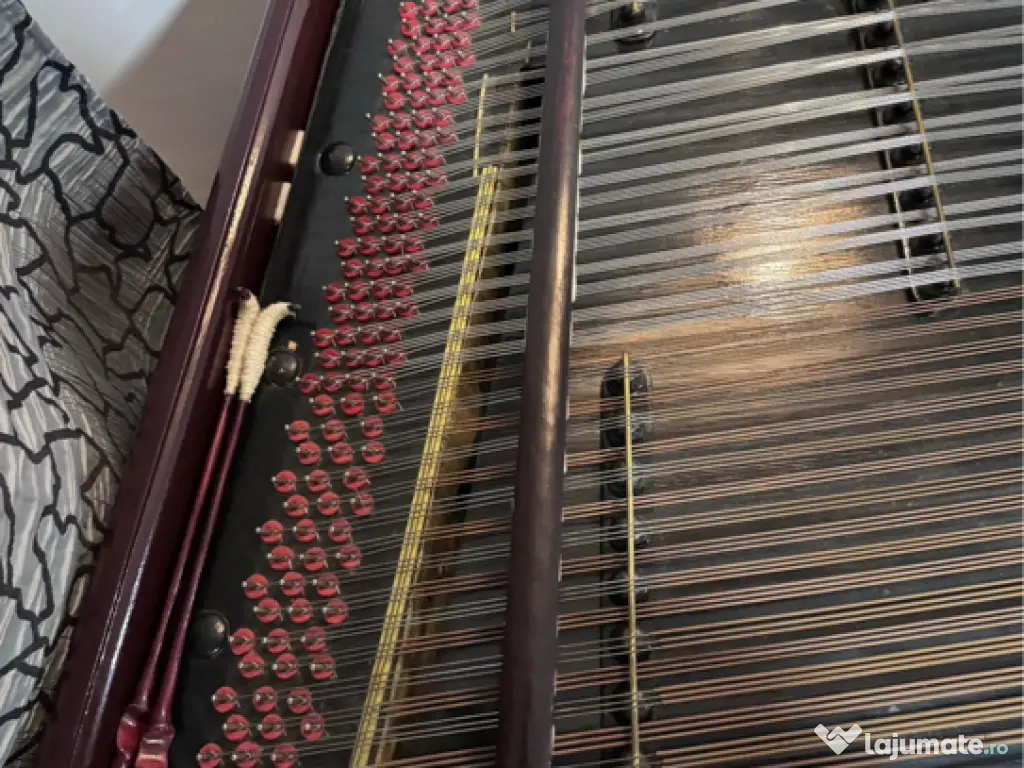 Tambal Artex Budapest