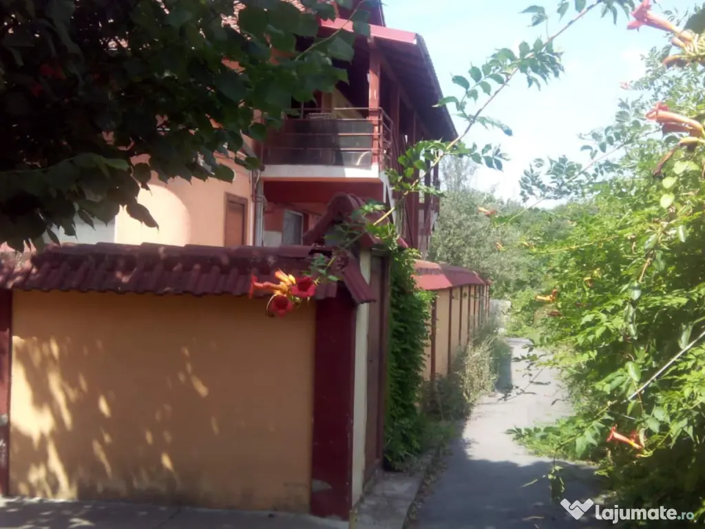 Garsoniera si curte Trivale (reducere) 