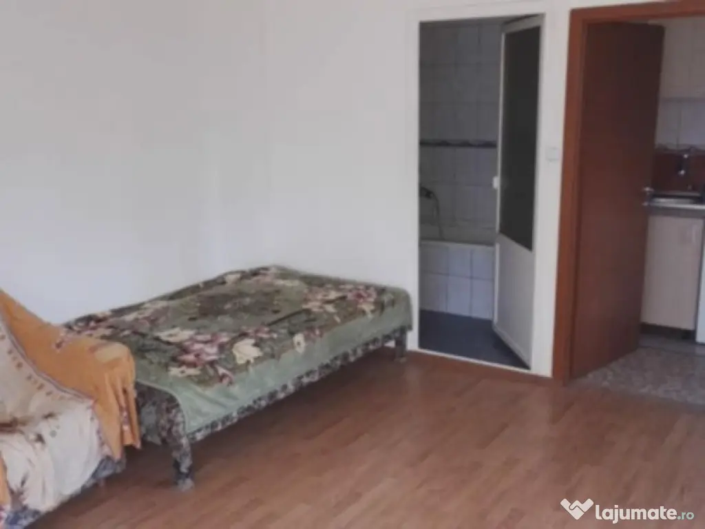 Garsoniera si curte Trivale (reducere) 