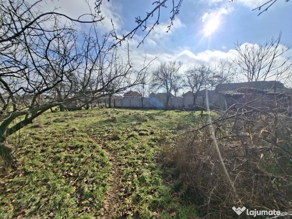 Casa Obarsia de Camp Mehedinti 