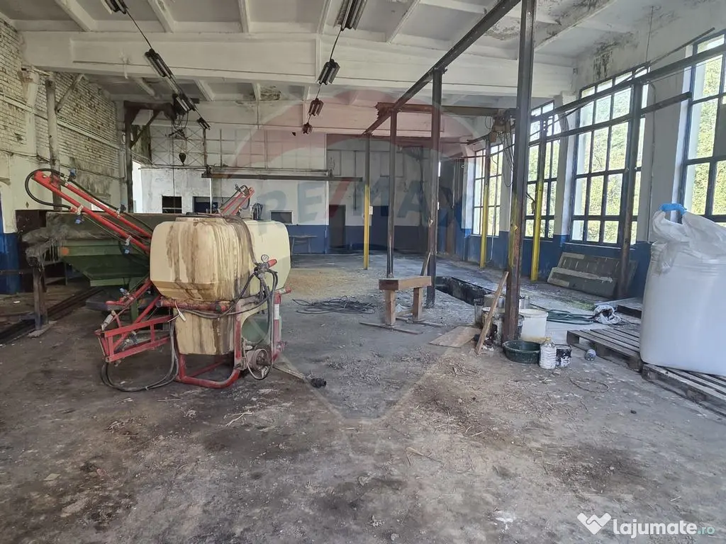 Spațiu industrial 15435 mp. de vânzare in Tinca. 