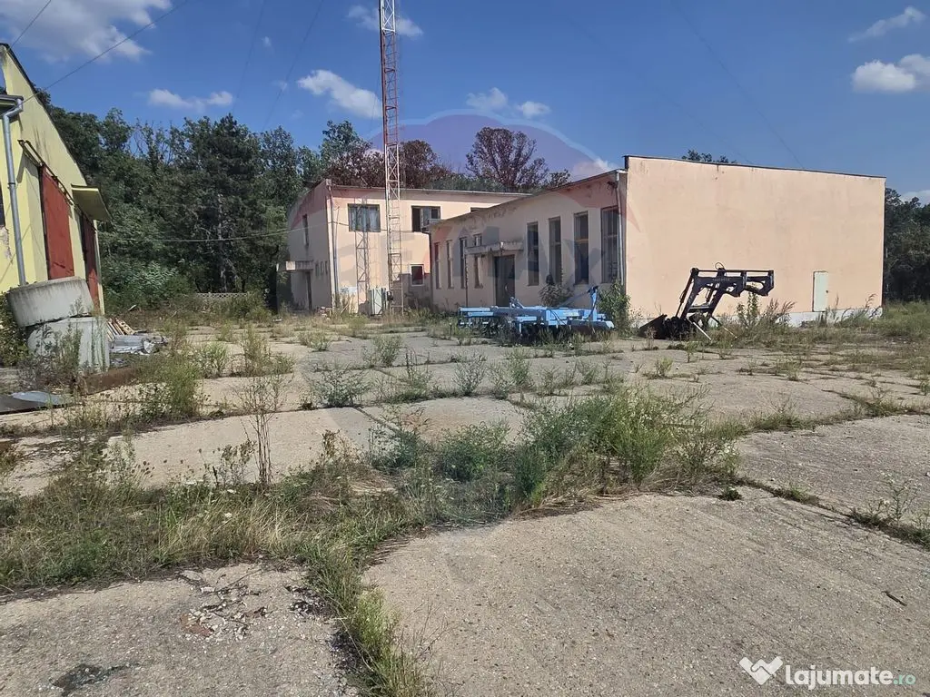 Spațiu industrial 15435 mp. de vânzare in Tinca. 