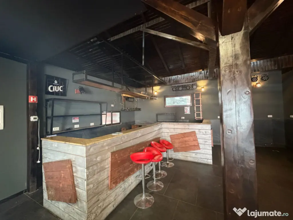 Casa 240 mp utili, 5000 mp teren + afacere la cheie, restaur