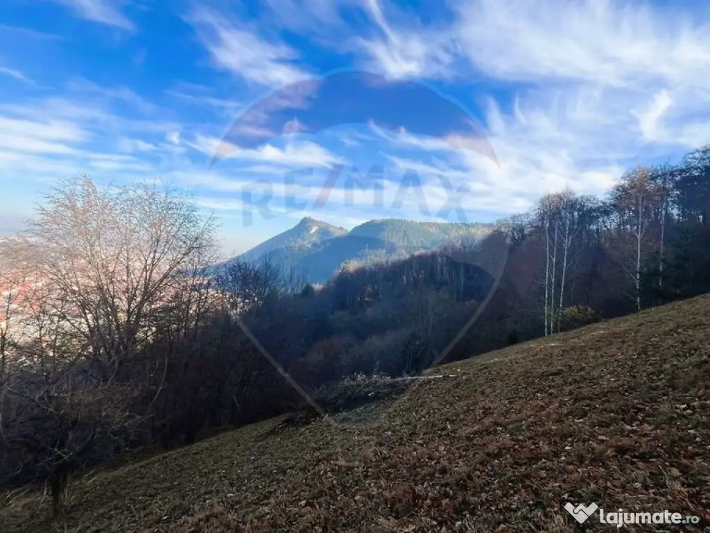 Teren Colinar Panoramic – 17.684 mp în Scheii Brașovului