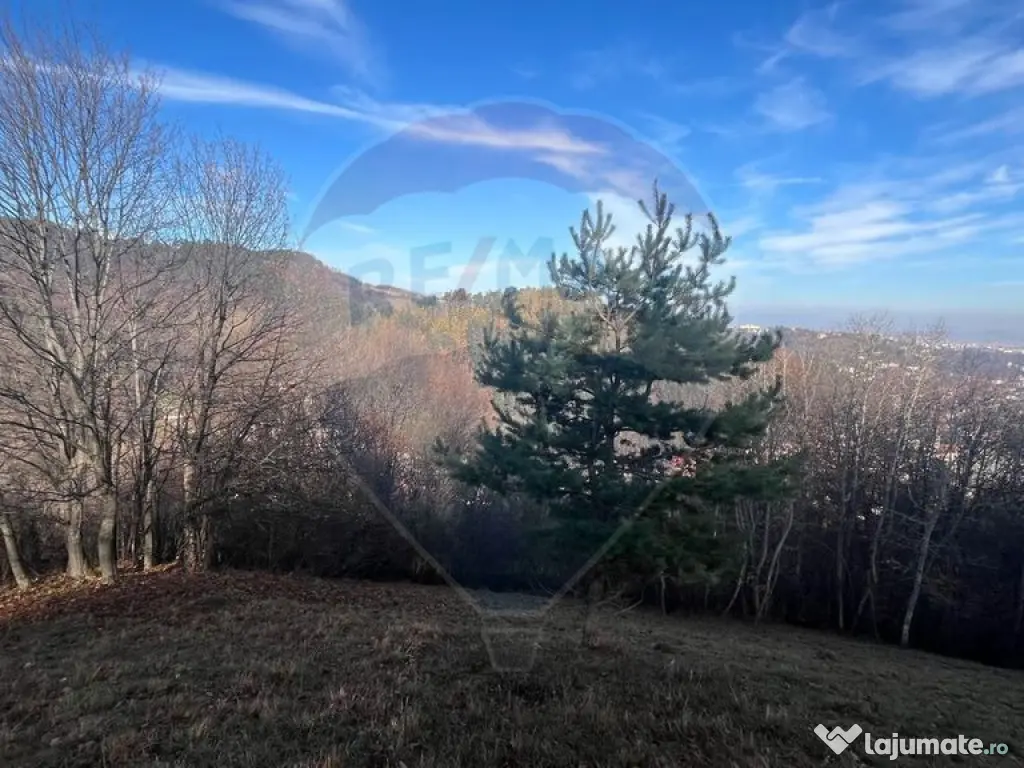 Teren Colinar Panoramic – 17.684 mp în Scheii Brașovului