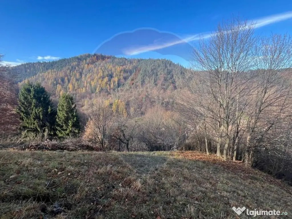 Teren Colinar Panoramic – 17.684 mp în Scheii Brașovului